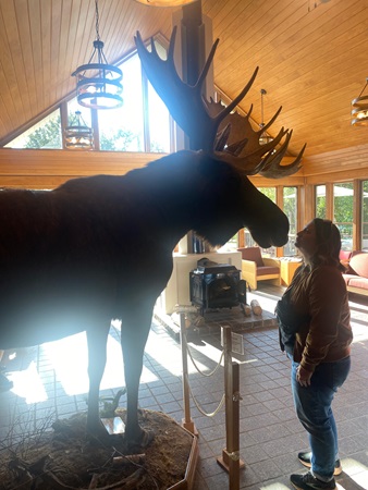 Woman pretends to kiss a stuffed moose