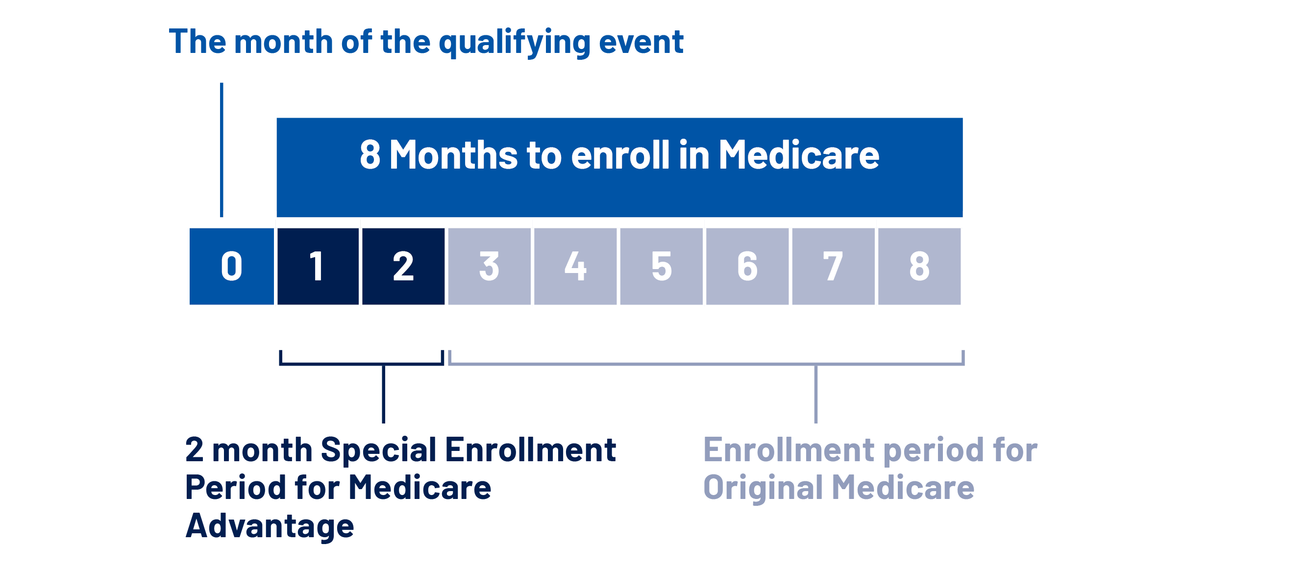 Enrollment Window Guidelines
